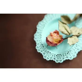 Organic Dry Rose